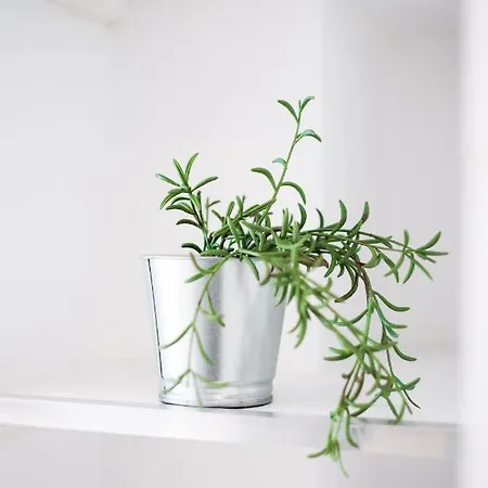Modern Apartment, Short Walk To Acropolis Sites Athens